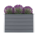 Raised Garden Bed 100X100X45 Cm Galvanised Steel