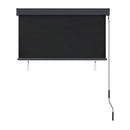Outdoor Roller Blind 120X250 Cm