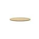 Round Table Top Only 600Mm Dia X 25Mm T