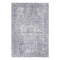 Isaiah Multi Transitional Rug