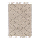 Leilani Diamond Tassel Ash Rug