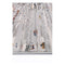 Isaiah Soft Multi Abstract Rug