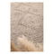 Leilani Boho Chic Ash Rug