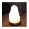 Himalayan White Rock Salt Lamps 2Kgs To 3Kgs Natural Shape Cut Lamp
