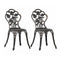 Bistro Chairs 2 Pcs Bronze Cast Aluminium