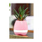 Pink Bluetooth Speaker Music Pot Real Plant Flower Smart Touch Light