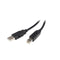 Startech 3M Usb 2 A To B Cable