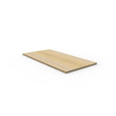 Table Top Only 1200Mm W X 600Mm D X 25Mm T