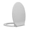 Soft Close Toilet Seat Oval