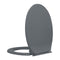 Soft Close Toilet Seat Oval