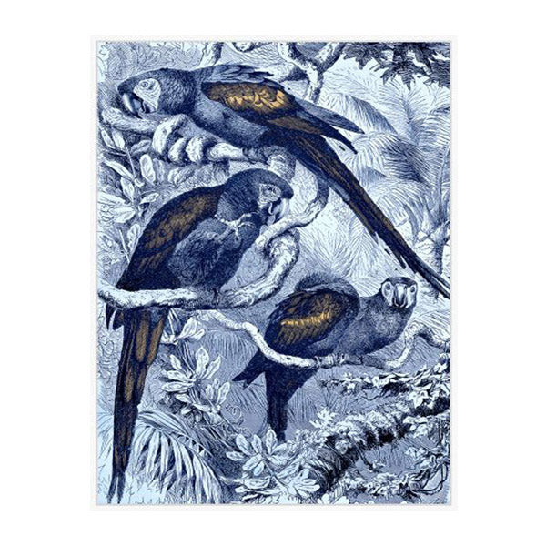 Blue Parrots Wall Art White And Blue Multi