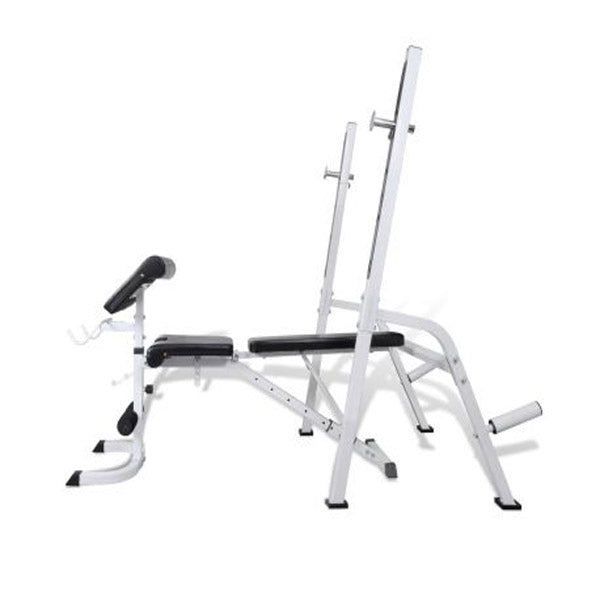 Multi Exercise Workout Bench